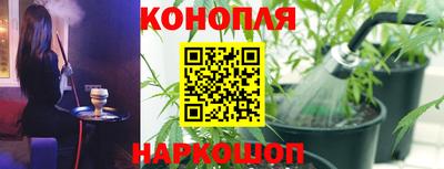 молекула духа Волжский