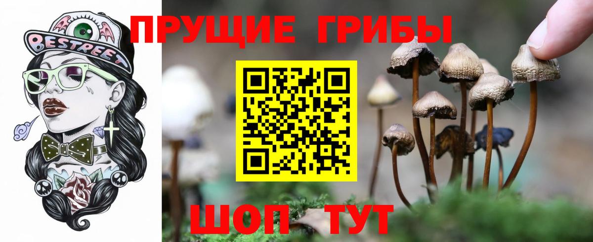 Псилоцибиновые грибы ЛСД Новоалтайск